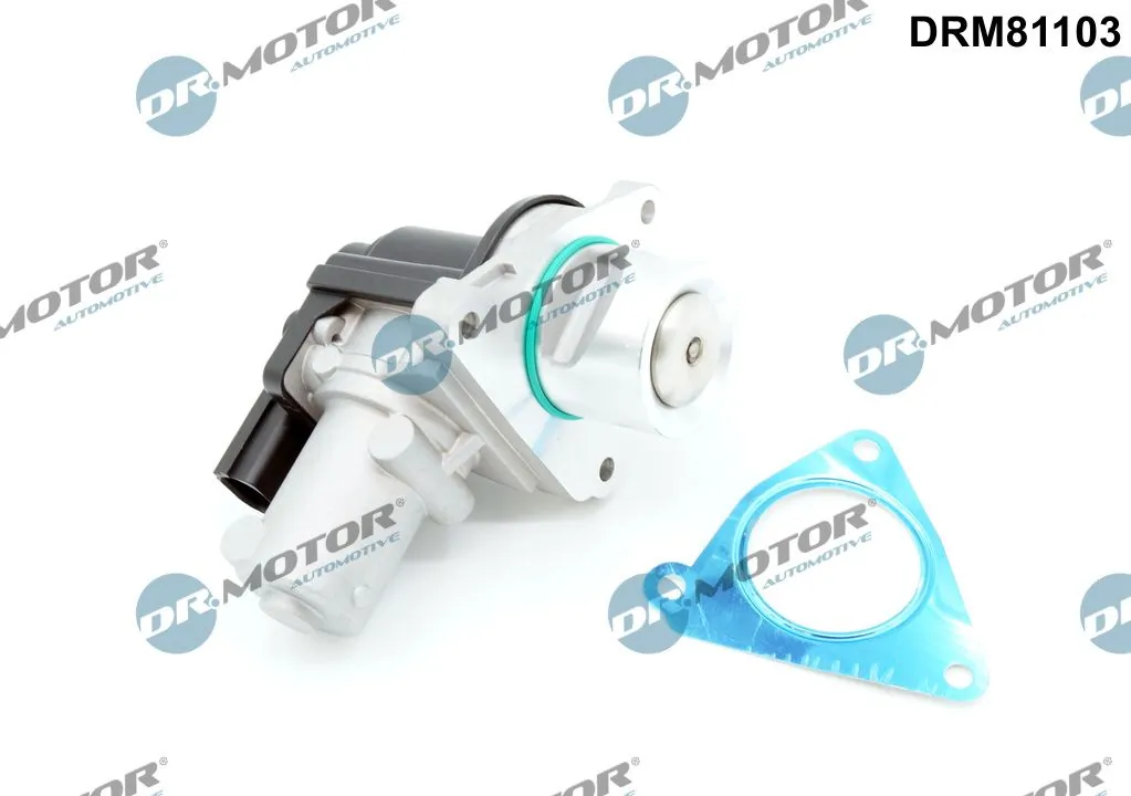 EGR Valve